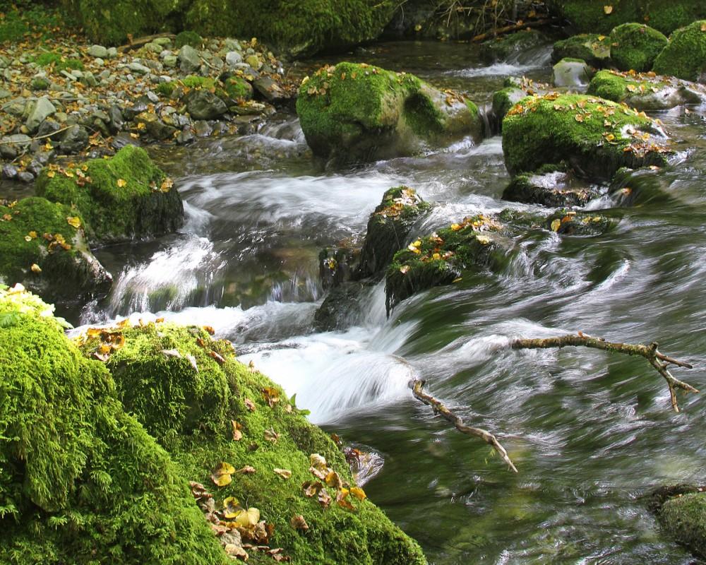 auberge-arros-tour-termes